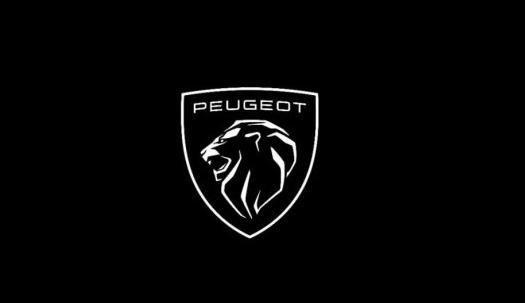 第11代狮标亮相漂后品牌全新启航！