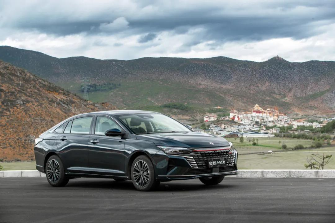 MAX享维修保养终身免费上门取车效劳